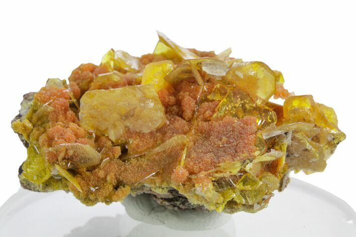 Botryoidal Orange Mimetite on Windowpane Wulfenite - Mexico #348007